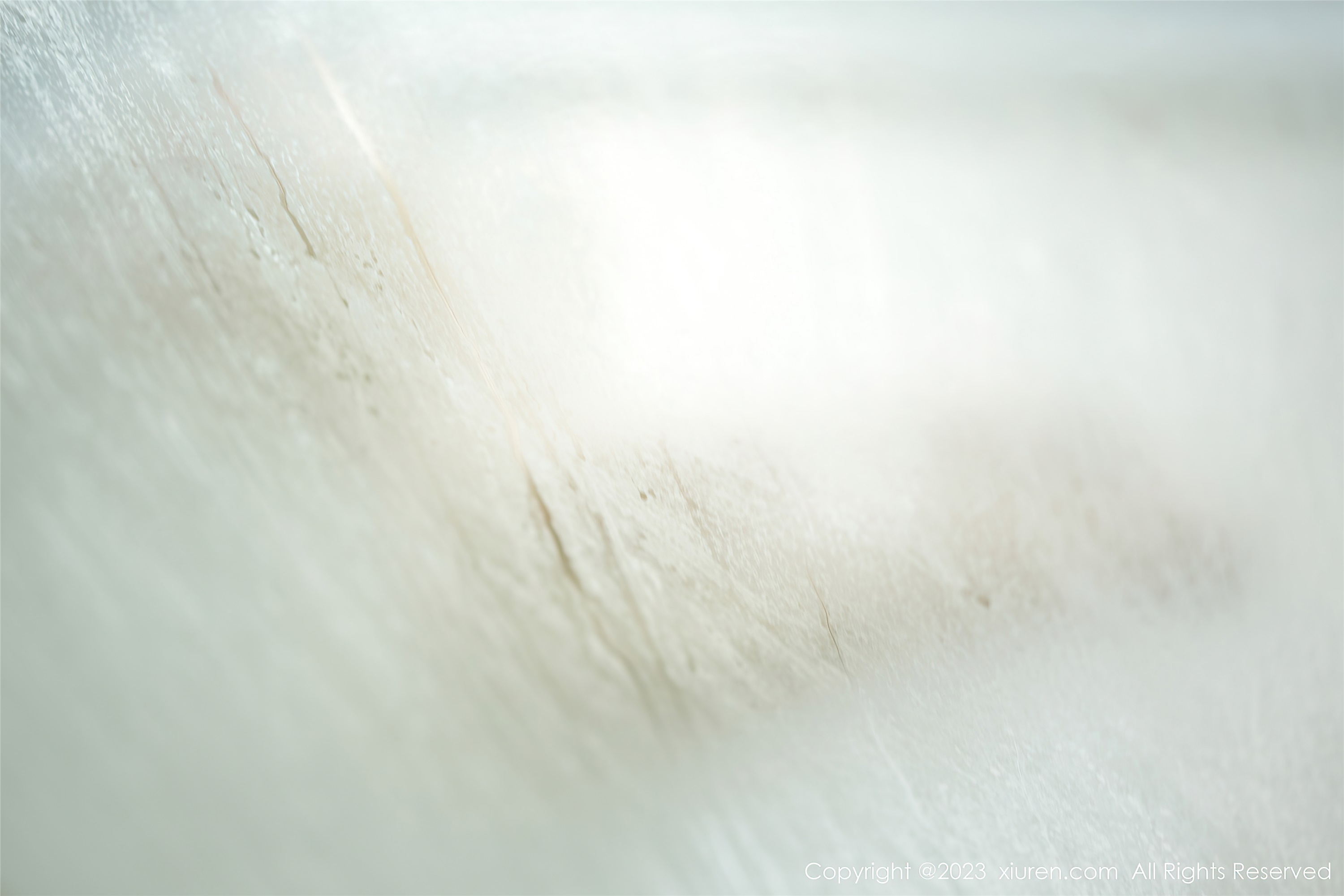 XiuRen秀人网  2023.04.21 NO.6610 Carol周妍希 泰国旅拍